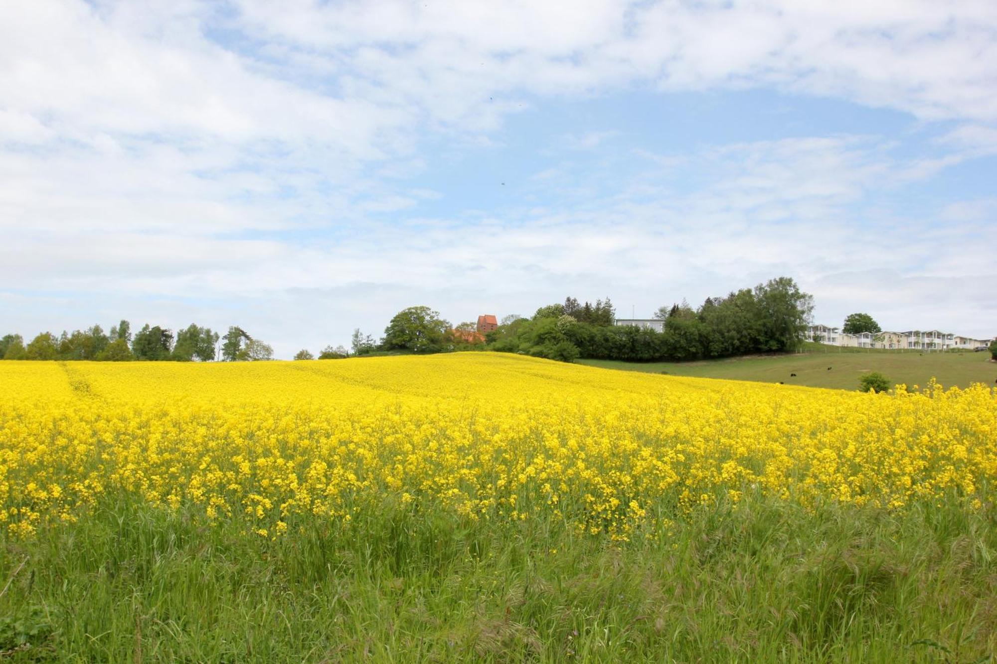 Mit Meerblick Und Balkon, Gratis Nutzung Vom Ahoi Erlebnisbad Und Sauna In Sellin - Meeresblick Fewo 33 Goehren  Extérieur photo